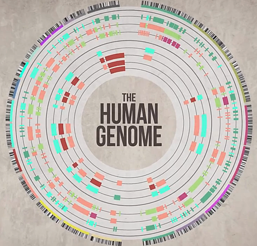 Full-scale Human Genome Sequencing