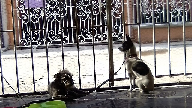 Se nos fue el internet