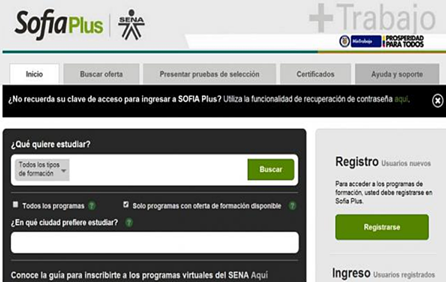 CREACIÓN PAGINA WEB