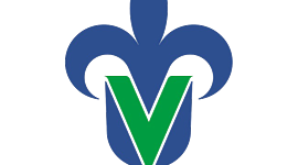 Timeline: Tarea 2. Historia, criterios historiográficos e hitos históricos de la Antigüedad al Siglo XVII