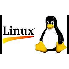 NAIXAMENT LINUX
