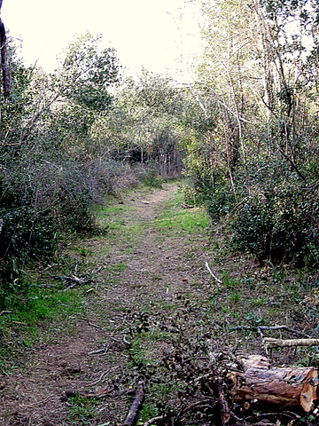 Torroella de Fluvià - km 1,4