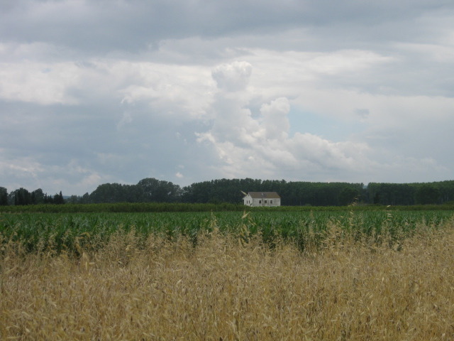 Torroella de Fluvià - km 1,7