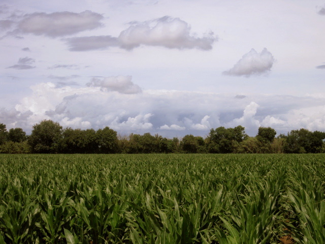 Torroella de Fluvià - Km 2,1
