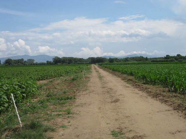 Buscando el río - km 2,5