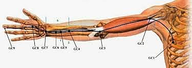 Electrolisis, electroacupuntura y electrofisiología