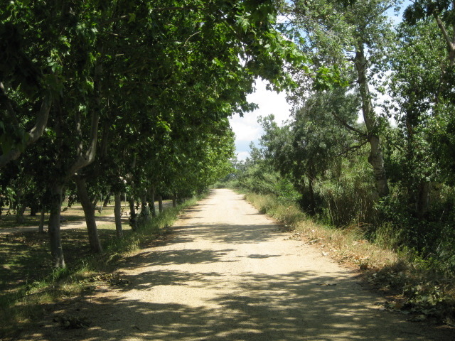 Sant Pere Pescador, km 4