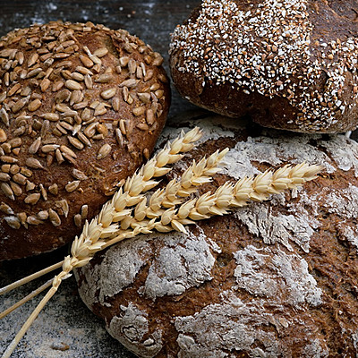 Timeline: Origen y evolución de los servicios