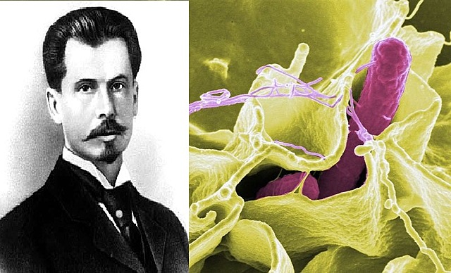 Concepto de quimiolitótrofo: Sergei Winogradsky