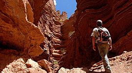 Timeline: Principales acontecimientos en la Legislación Patrimonial