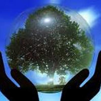 Timeline: Línea del tiempo sobre la evolución del concepto de Desarrollo Sustentable.