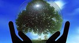 Timeline: Línea del tiempo sobre la evolución del concepto de Desarrollo Sustentable.