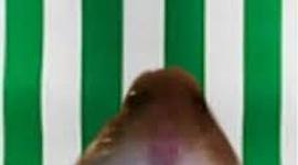 Timeline: HISTORIA DE LA TECNOLOGÍA