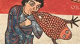 Timeline: Evolución de la Imagen