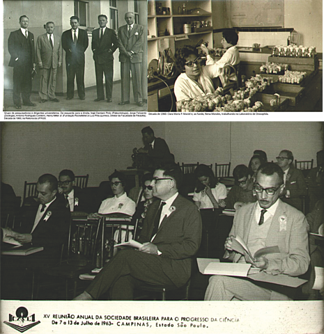 Década de 60 - (PESQUISA)