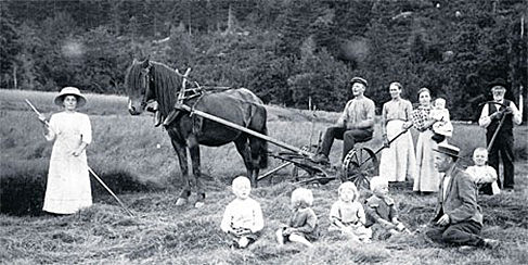 Samfunnsendringer og språkutvikling