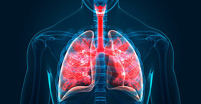 semana 2: la respiracion