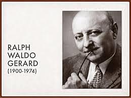 Unidades curriculares