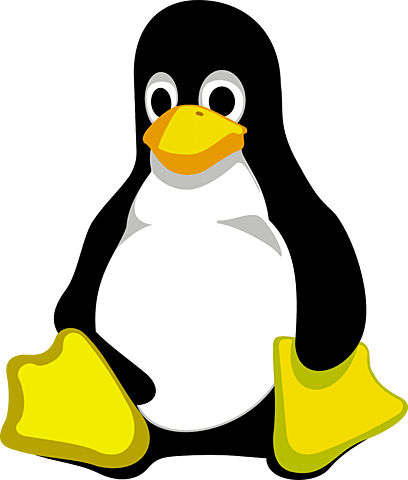 LINUX