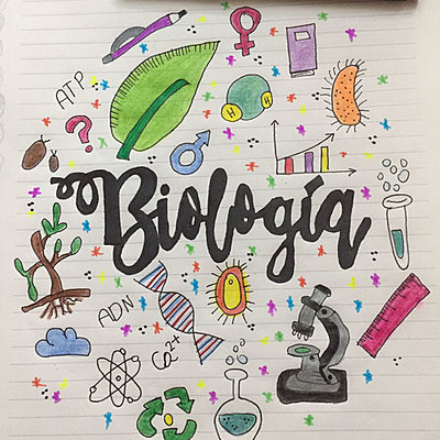 Timeline: Primer Periodo