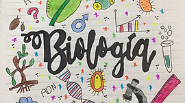 Timeline: Primer Periodo