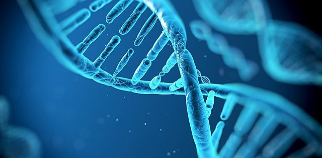 HISTORIA DE LA BIOLOGIA CELULAR