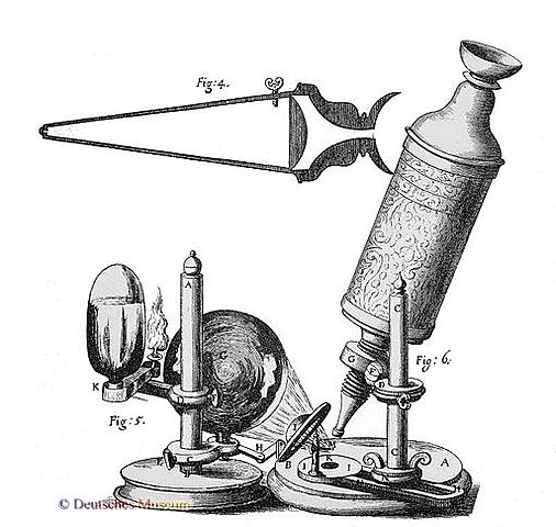 EL DESCUBRIMIENTO DE LAS CÉLULAS