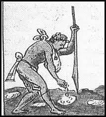 DOMESTICACIÓN DE LA CALABAZA, CHILE Y AGUACATE