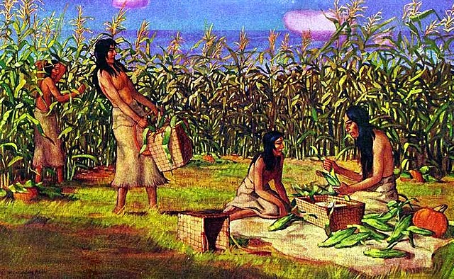 DOMESTICACIÓN DEL MAÍZ, GUAJE, FRIJOL COMÚN, ZAPOTE BLANCO Y ZAPOTE NEGRO