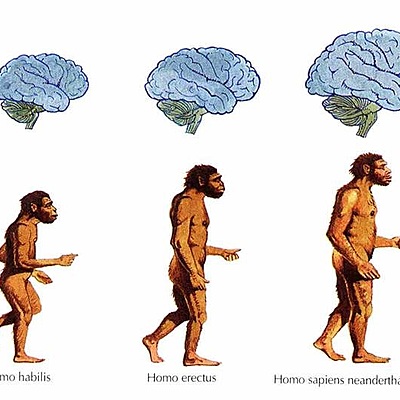 Timeline: "La Psicología como ciencia"