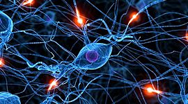 Timeline: Historia de la Neurociencia