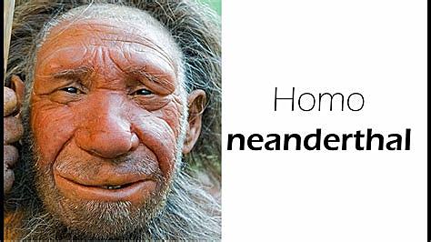 Desaparición del homo neanderthalensis
