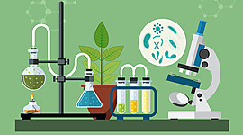 Timeline: IV periodo Biología