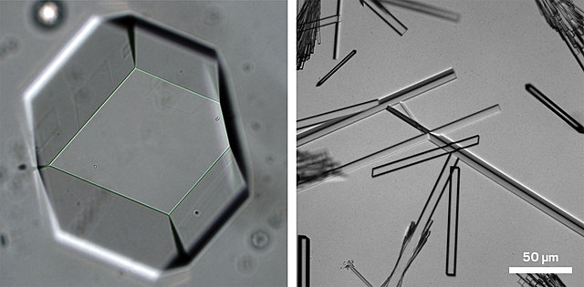 Primeras fotografías de rayos X de cristales proteicos