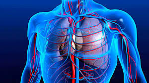 semana 3 (segunda sesión)