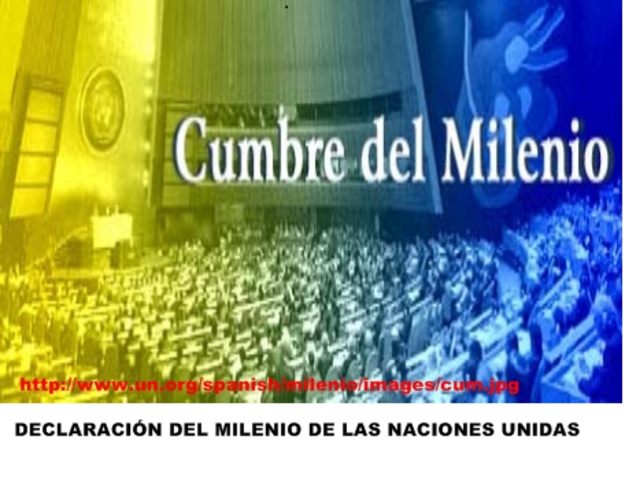 CUMBRE DEL MILENIO