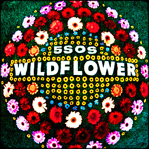 Wildflower Video