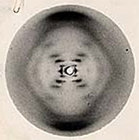 Premio Nobel de Medicina