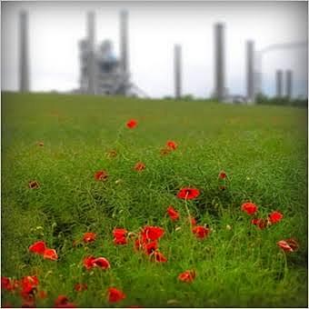 Primera Conferencia de Ciudades Europeas Sostenibles.