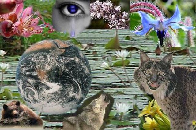 AÑO DIVERSIDAD BIOLOGICA