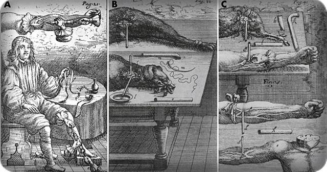 Primera Transfusión Humana.