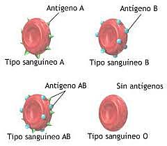 Donador universal, receptor universal.
