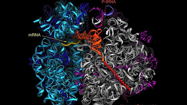 Premio Nobel de Química