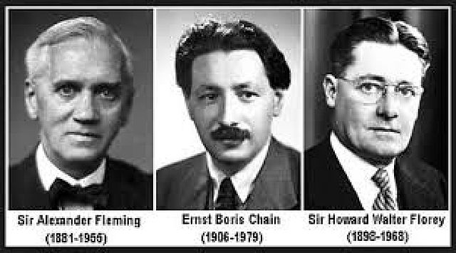 Médico Howard Florey y el Dr. Chaín se dieron a la tarea de purificar la penicilina.