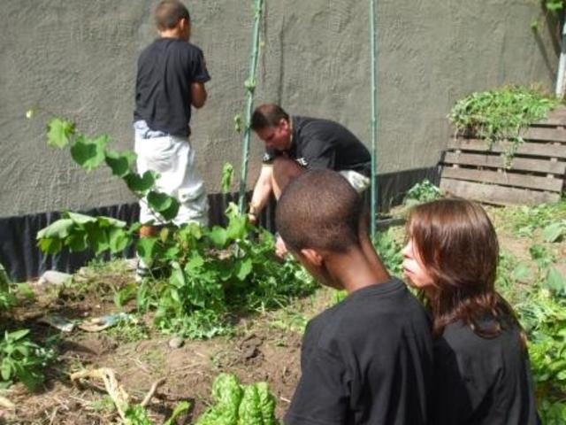 T. Merrell Shipherd Flexible Fund Established