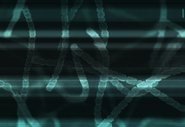 Selman Waksman obtuvo la estreptomicina.