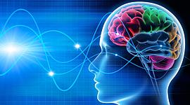 Timeline: Historia de la Neurociencia