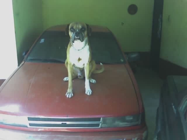 Una serie de eventos inesperados