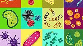 Timeline: Historia de la Microbiología