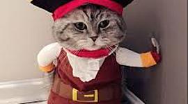 Timeline: Acontecimientos que marcaron el siglo XX